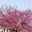 @7692-u1c