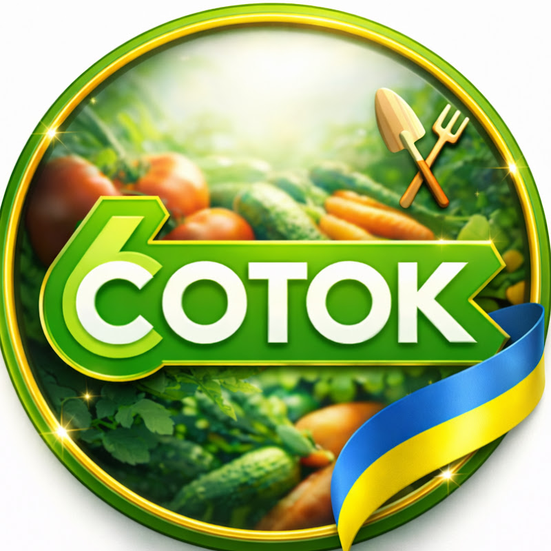 Телеканал 6СОТОК