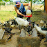 IDzcJEX0RIo-channel-avatar-Orolus Village