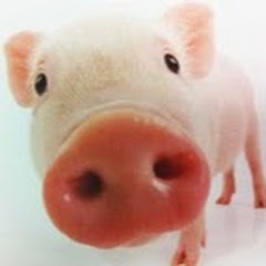 勘助ちゃんねる