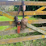 M7NteijDKwI-channel-avatar-New Zealand Outdoor Blades & Bullets