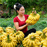 CE4h47B5iLk-channel-avatar-Trieu Huong Mai 