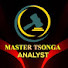 gV8Q5Dn3JFc-channel-avatar-Master Tsonga Analyst