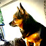 w3z0bqnaxDM-channel-avatar-s