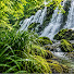 oOcfqBoSmNo-channel-avatar-Green Forest Soundscape