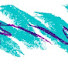 IJrIWhaOFZc-channel-avatar-Vicky's Faves