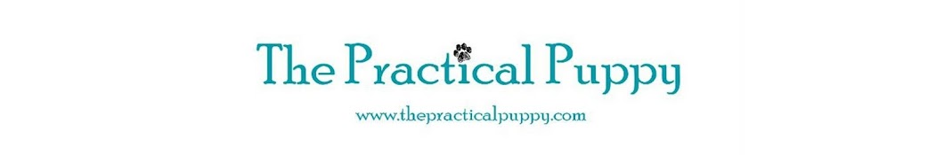 The Practical Puppy ইউটিউব চ্যানেল অ্যাভাটার