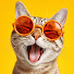 4GOeaLrhx7o-channel-avatar-Vibing Cats