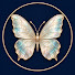 TkZTolBaQig-channel-avatar-LUMO