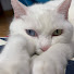 0fflw_RBPfA-channel-avatar-たーぼーch  