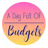 pzK7tE9RPww-channel-avatar-A Day Full of Budgets