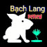 KrOIEyJ-3WU-channel-avatar-Bạch Lang Review