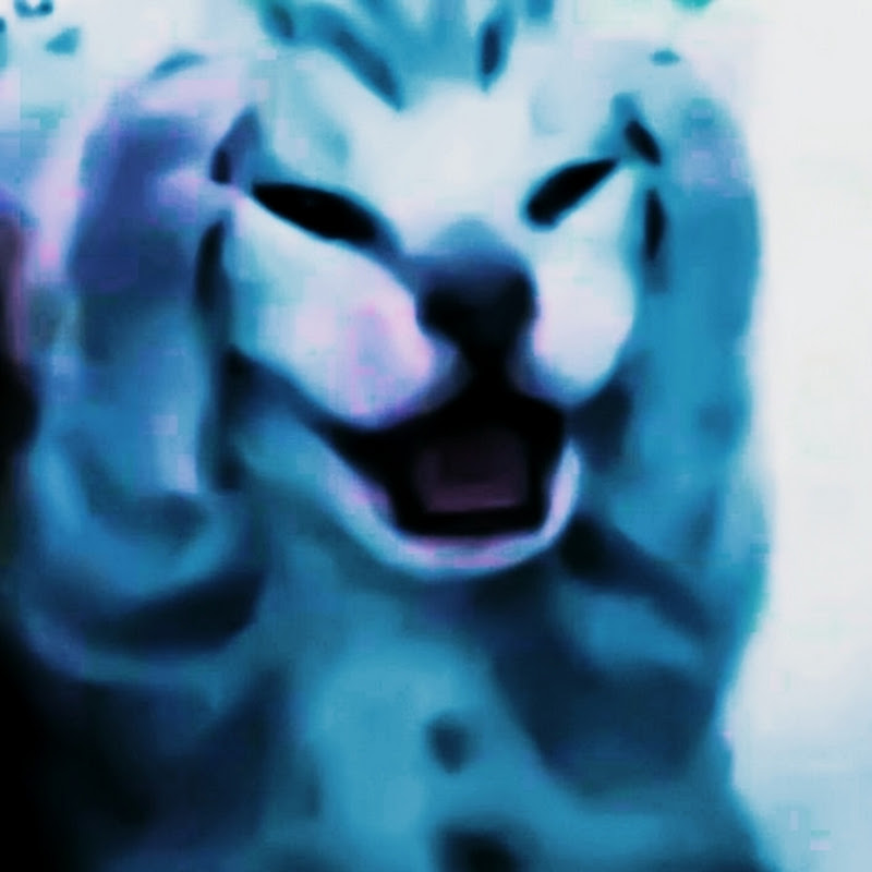 TheOneWhoRanks