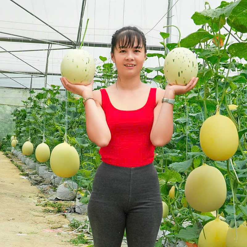 Phương Farm TV Logo