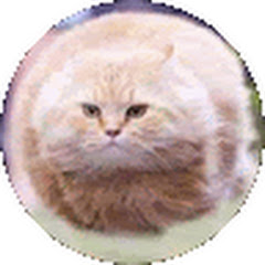切り抜き動画アイコン画像