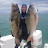 Miami SpearFishing