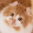 @sungsoonkim-m1u
