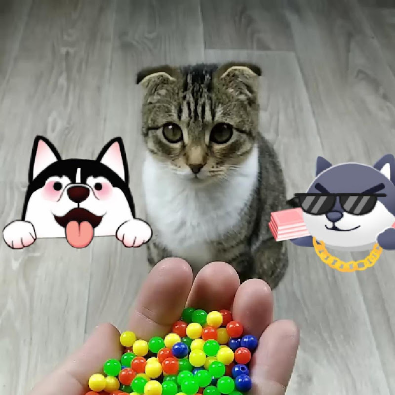 Cat Barsik  Beads