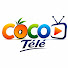 J7Hi86ZSfd8-channel-avatar-Coco Empire