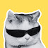 _T44ZpOjbWs-channel-avatar-Retro Haven