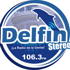 Delfín Stereo net worth