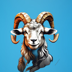 Aslan Futbol