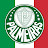 PALMEIRAS TV NEWS