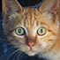 SzBaov6nBQI-channel-avatar-DoiKuro Channel