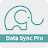 Data Sync Pro