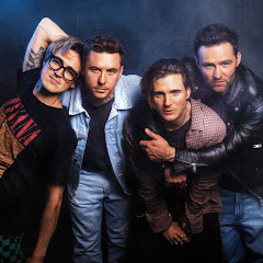 Official McFly net worth