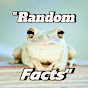 Random Facts logo
