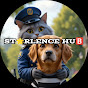 Starlence Hub logo
