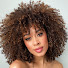 e8r2GBNqzaM-channel-avatar-Faith Chappelle