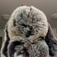 birgey profile image