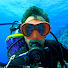 nfTQBgAksas-channel-avatar-Dive Wise
