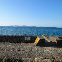 愛媛のゲームファンの一人