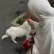 لَيـ͓̽ـلَيـ͓̽ـ 레일라 