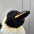 G2lgiFKk-ec-channel-avatar-MR PENGU