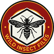 Wild Insect Files