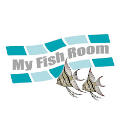 myfishroom
