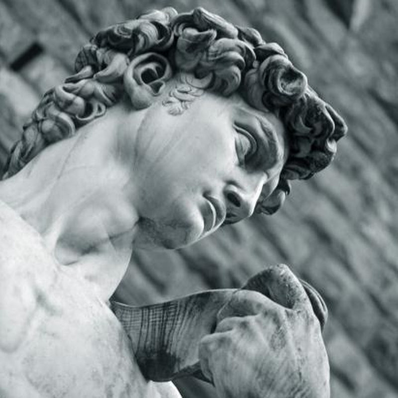 Das Haus Des Amadeus