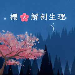 櫻🌸解剖生理チャンネルアイコン画像