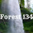 Forest 134