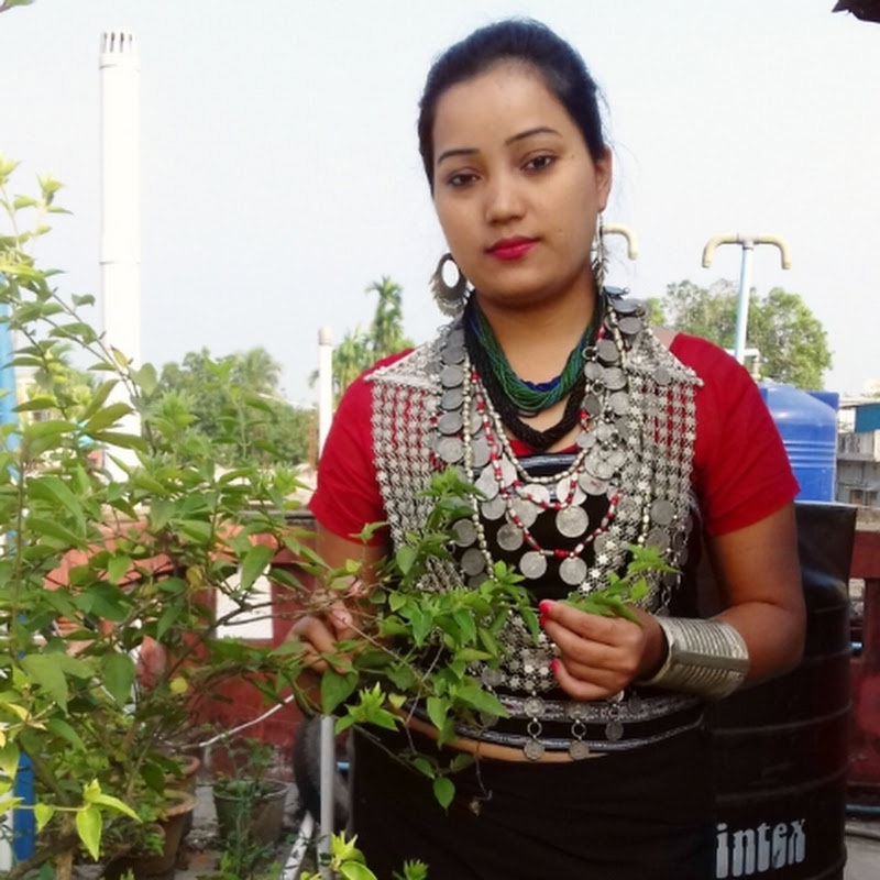 JPR's Village Diaries