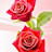@PavithraPavi-i4g