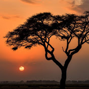 Africa uncovered ⭐🔥