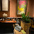 @user-sh9ui6zd2x