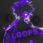 SM Loops 滅