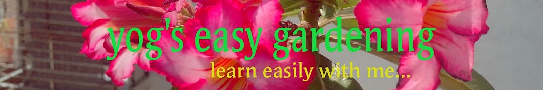 Yog's easy Gardening Avatar channel YouTube 