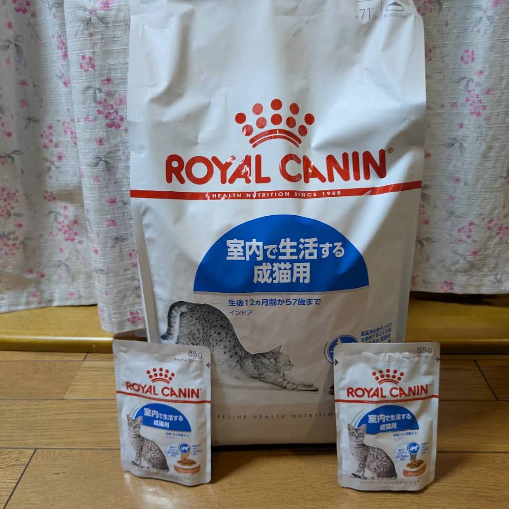 2026/9/26 にゃんこ支援の物資が届きました。 ころがり隊さん、名無し